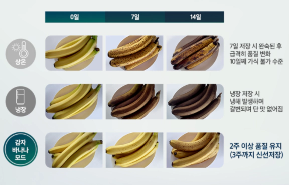 김치냉장고의-바나나-보관실험