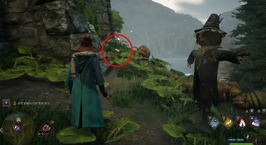 호박안에있던 쪽지위치